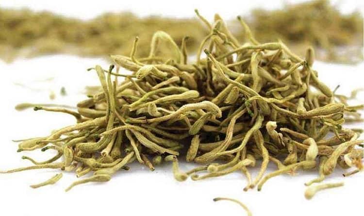 Ảnh hình thái 1